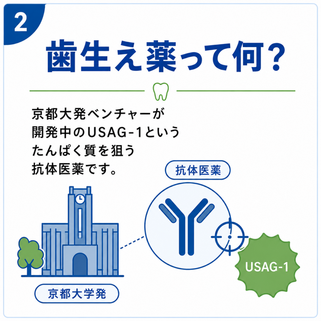歯生え薬って何？
