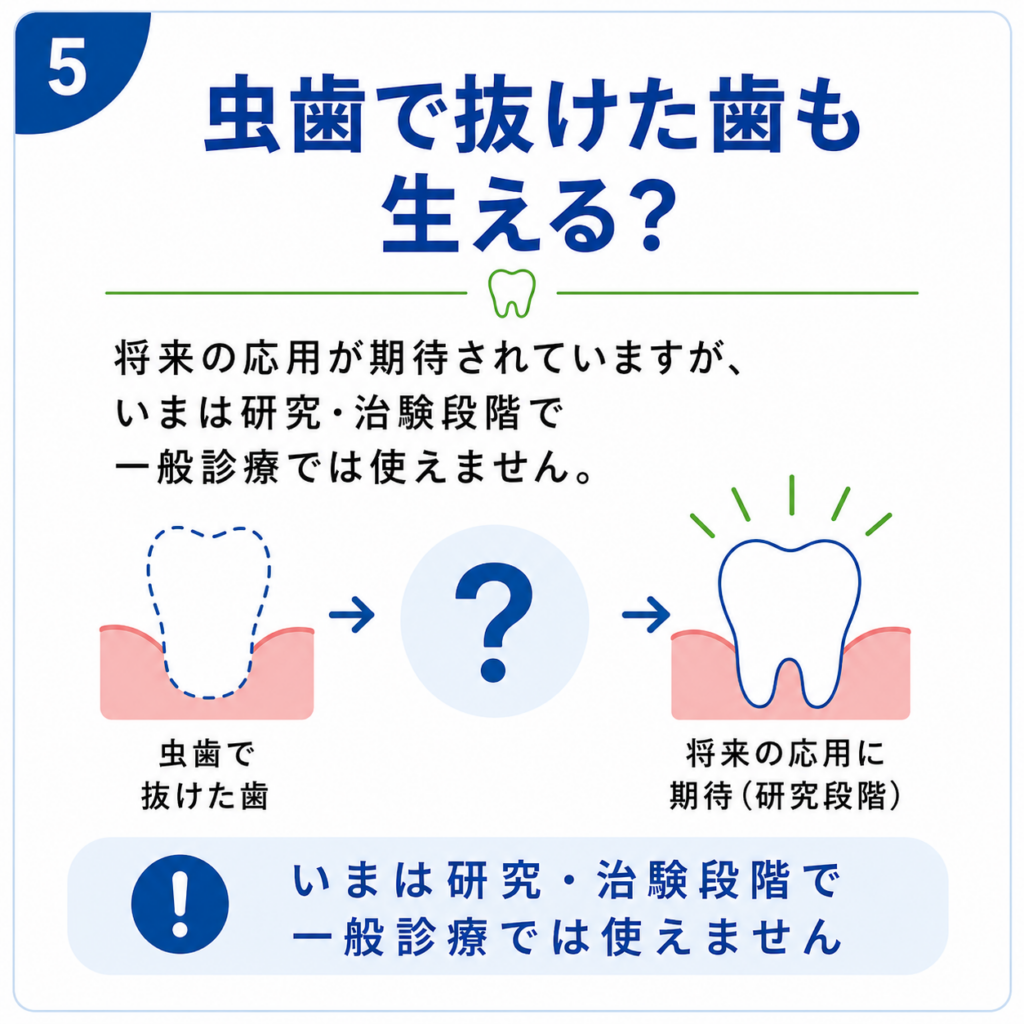 虫歯で抜けた歯も生える？